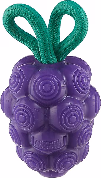 Outward Hound Dental Grapes Treat Stuffer Dental Dog Chew Toy