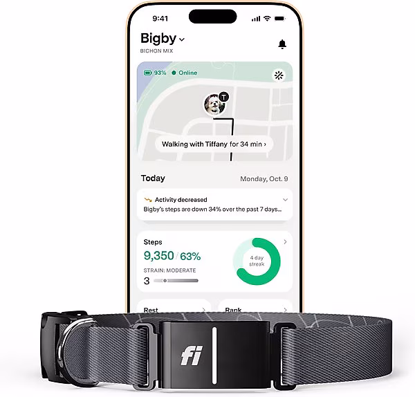 Fi Series 3+ Smart Dog Collar, Gray, Large